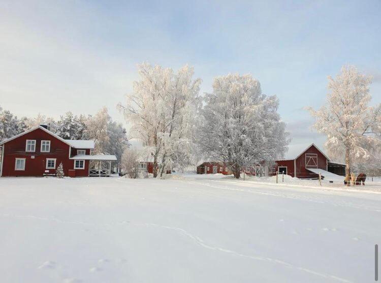Villa Hus I Ljuset Näsåker Exterior foto